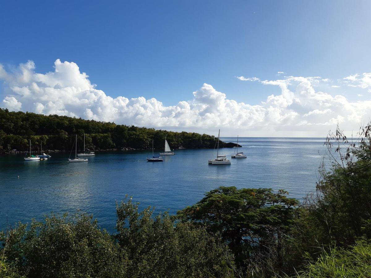 Les Capra - Papaye Hébergement de vacances Bouillante